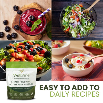 WellVine Premium Smart Prebiotic Gut Health Supplement Powder for Men & Women | Digestive Support & Gut Health With 100% Upcycled Chardonnay Grapes | Plant-Based WellVine