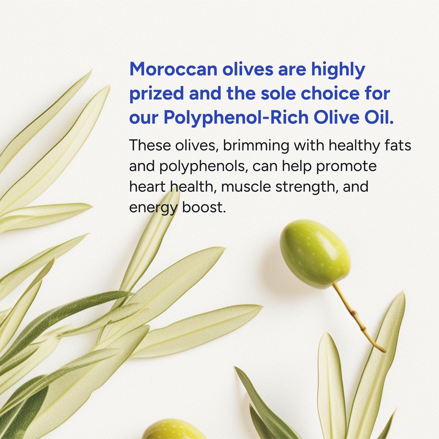 Gundry MD® Organic Extra Virgin First Cold Press Moroccan Polyphenol Rich Olive Oil (Olive Oil) (1) Gundry MD