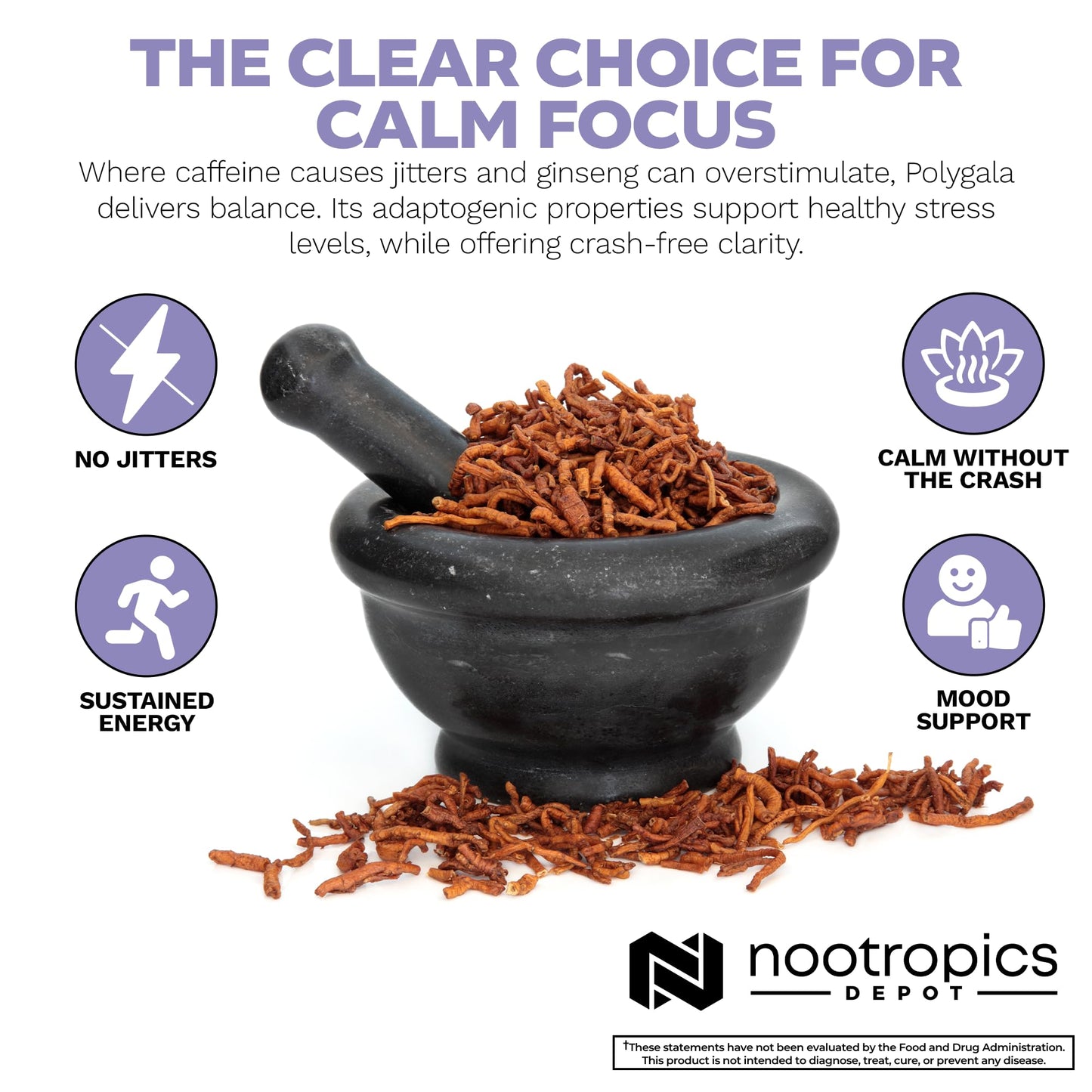 Nootropics Depot Polygala tenuifolia Capsules | 100mg | 90 Count | 20:1 Extract | Yuan Zhi | Promotes Cognitive Function, Learning and Memory | Supports Healthy Stress Levels | Adaptogen Supplement