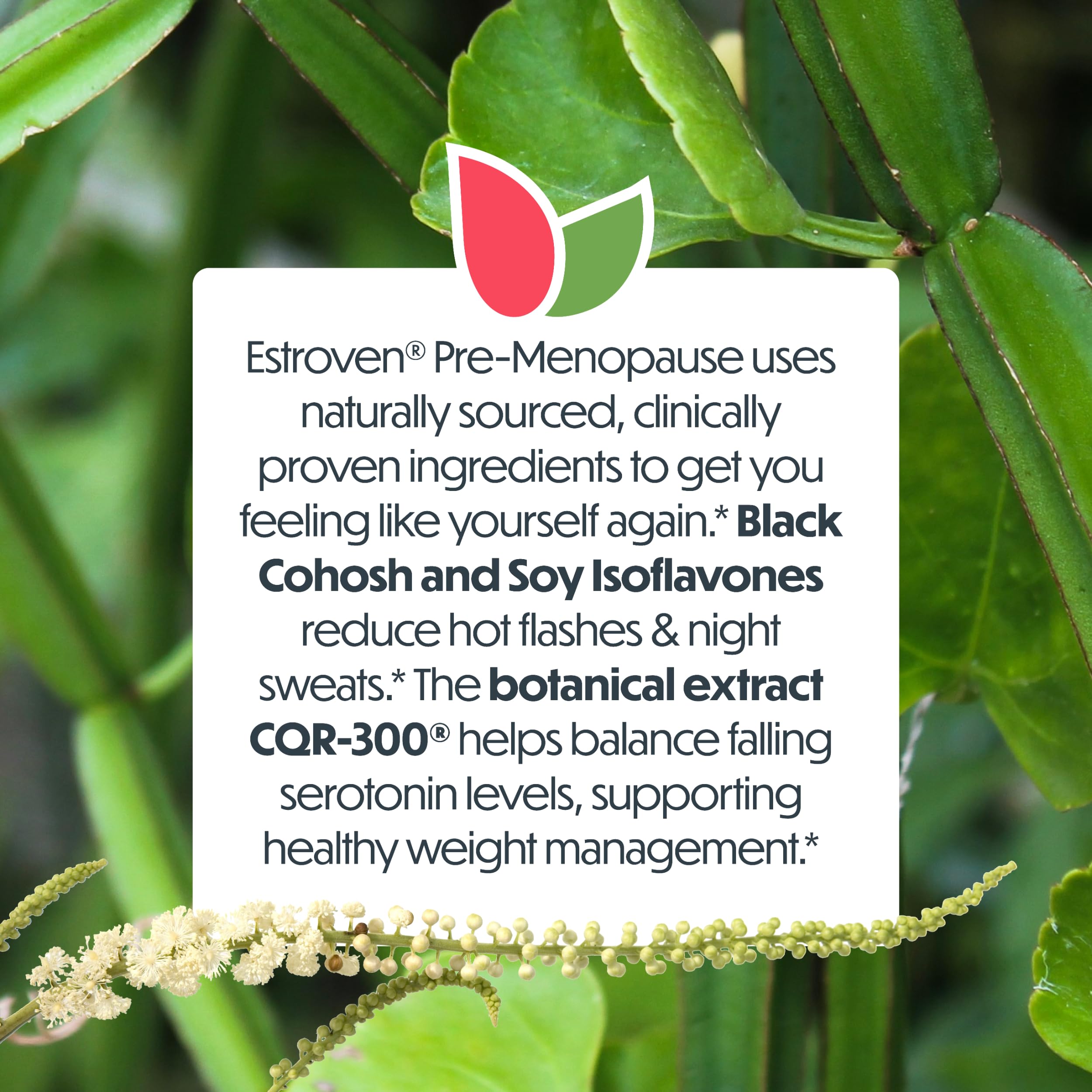 Estroven Pre-Menopause Relief, 30 Ct., Clinically Proven Ingredients, Provides Menopause Relief plus Night Sweats & Hot Flash Relief, Drug-Free or Estrogen Free Estroven buy australia supplements