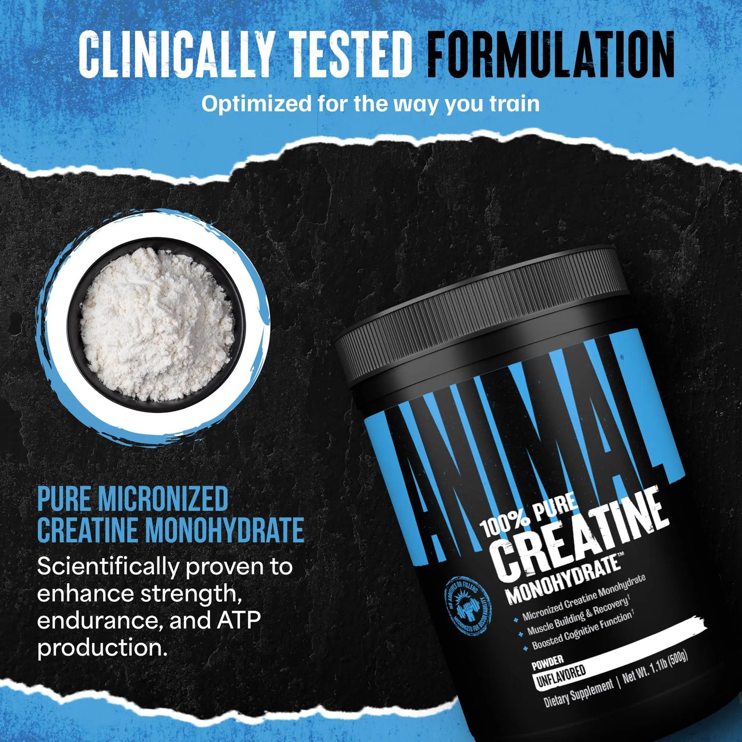 Animal Creatine Monohydrate Powder - Micronized Creatine for Women and Men, Supports Muscle Growth, Strength, Endurance, Recovery and ATP Production, Animal