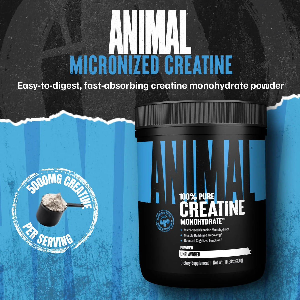 Animal Creatine Monohydrate Powder — Micronized for Muscle Recovery, Cellular Energy, and Daily Wellness — for Men and Women Animal