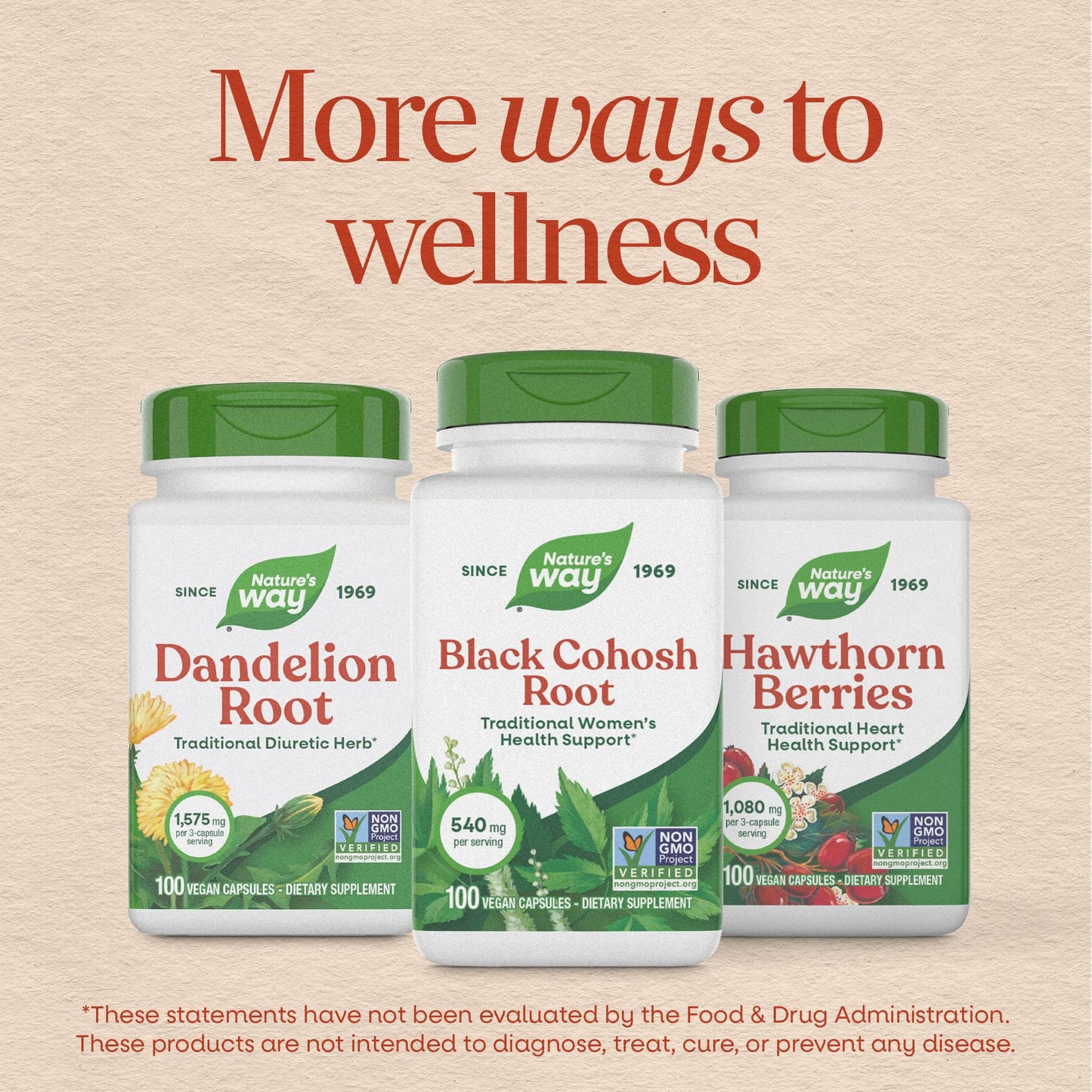 Nature’s Way Herbs Black Cohosh Root Capsules, Traditional Women’s Herbal Supplement*, Cimicifuga Racemosa Root, Nature's Way