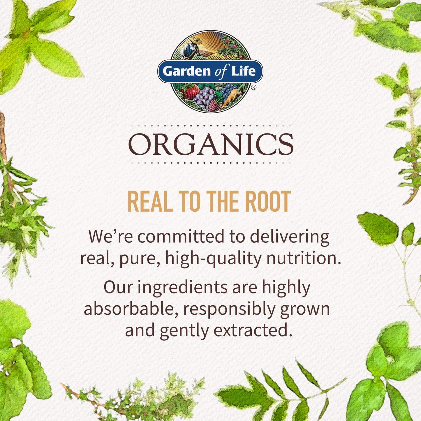 Garden of Life Organics Whole Food Multivitamin for Men 40+ 120 Tablets, Vegan Mens Multi for Health Garden of LifeBuy Supplements Australia