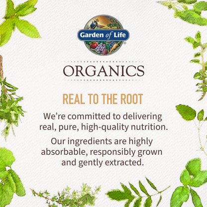 Garden of Life Organics Golden Milk Recovery & Nourishment Powder - 44mg Turmeric Curcumin (95% Curcuminoids), Ashwagandha - Organic Non-GMO Vegan & Gluten Garden of Life