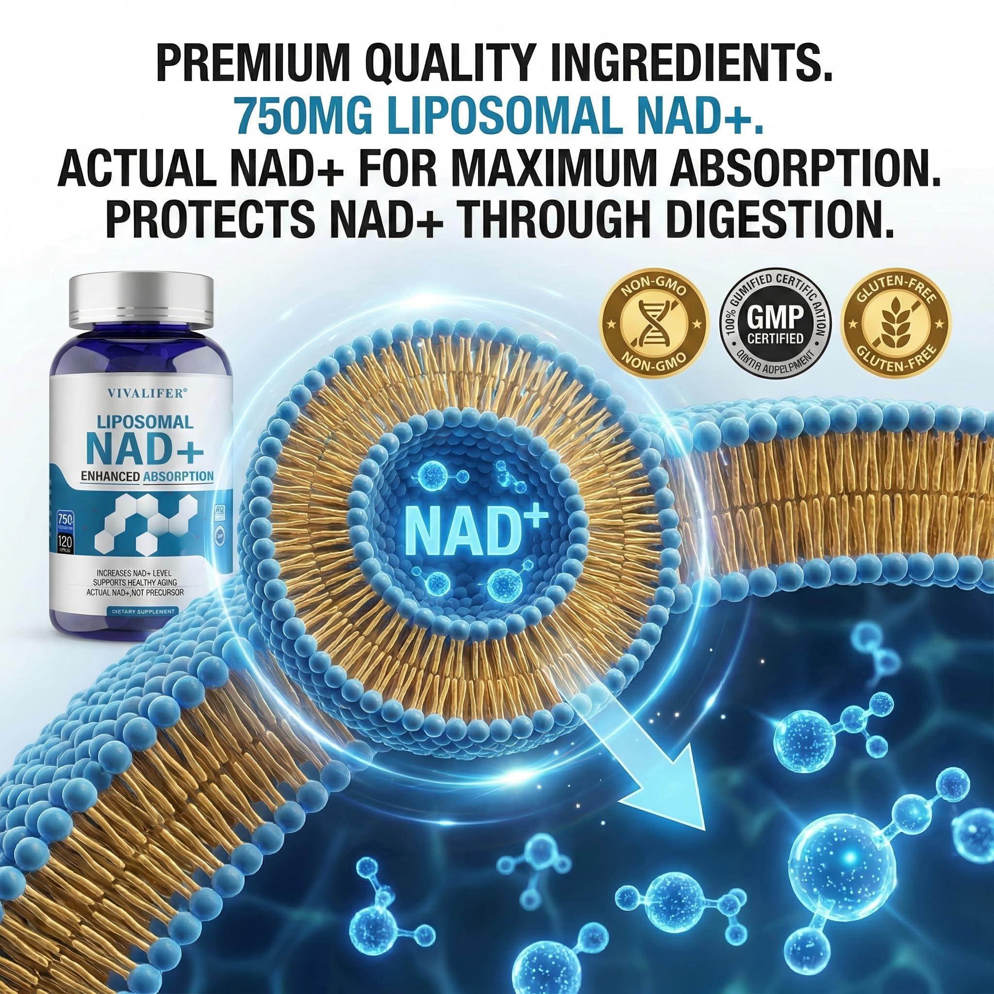 Liposomal NAD+ Supplement 750mg - 120 Capsules NMN Alternative Superior Absorption & Bioavailability -True Nicotinamide Adenine Dinucleotide for Cellular Energy, DNA Repair Support & Healthy Aging DQQI buy australia supplements