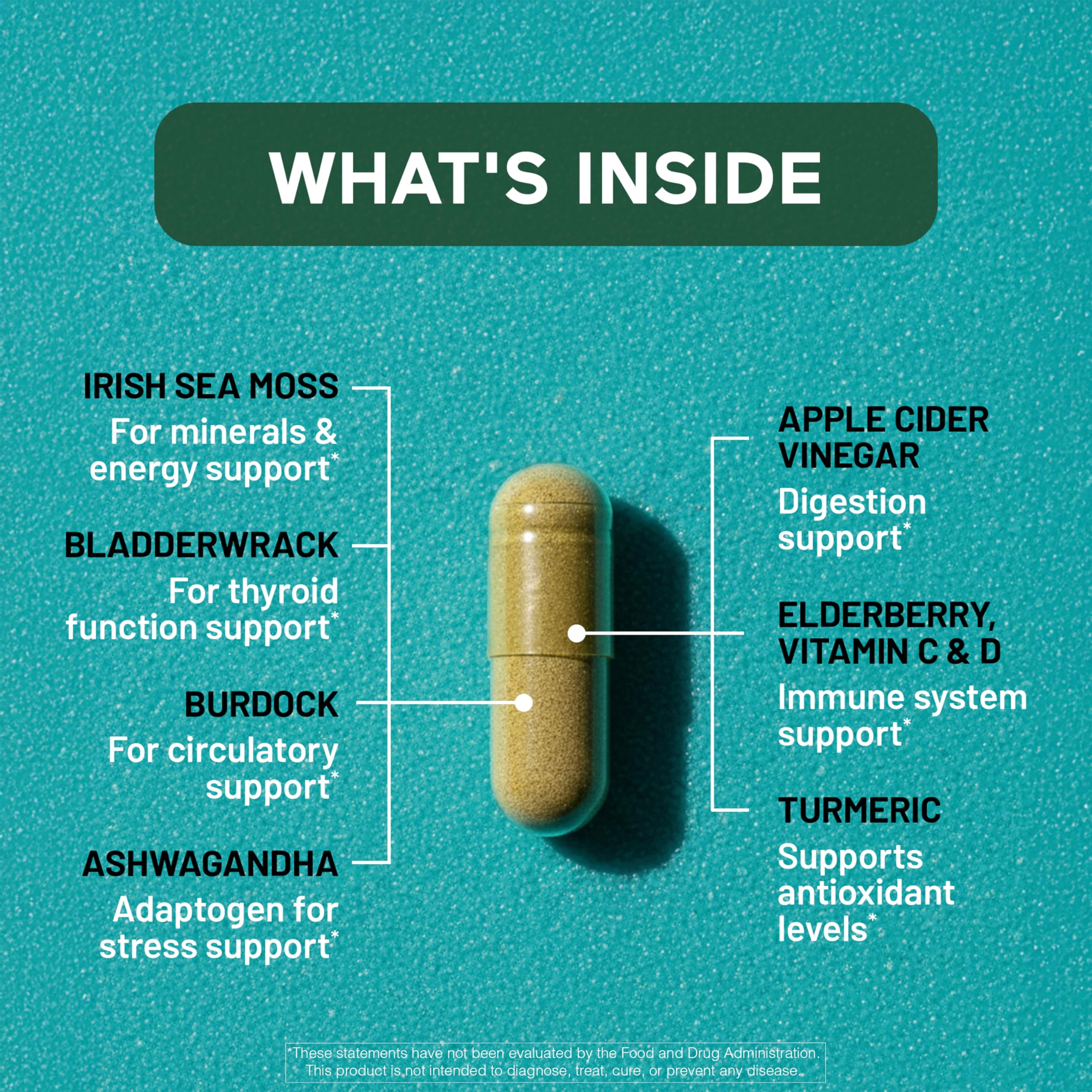 SMARTERNUTRITION Sea Moss Multimineral with Irish Sea Moss with Ashwagandha Bladderwrack Turmeric Zinc Vitamin C Elderberry Dandelion - Non-GMO, USA Manufactured - 60 Capsules[30 Day Supply] SMARTERNUTRITION buy australia supplements