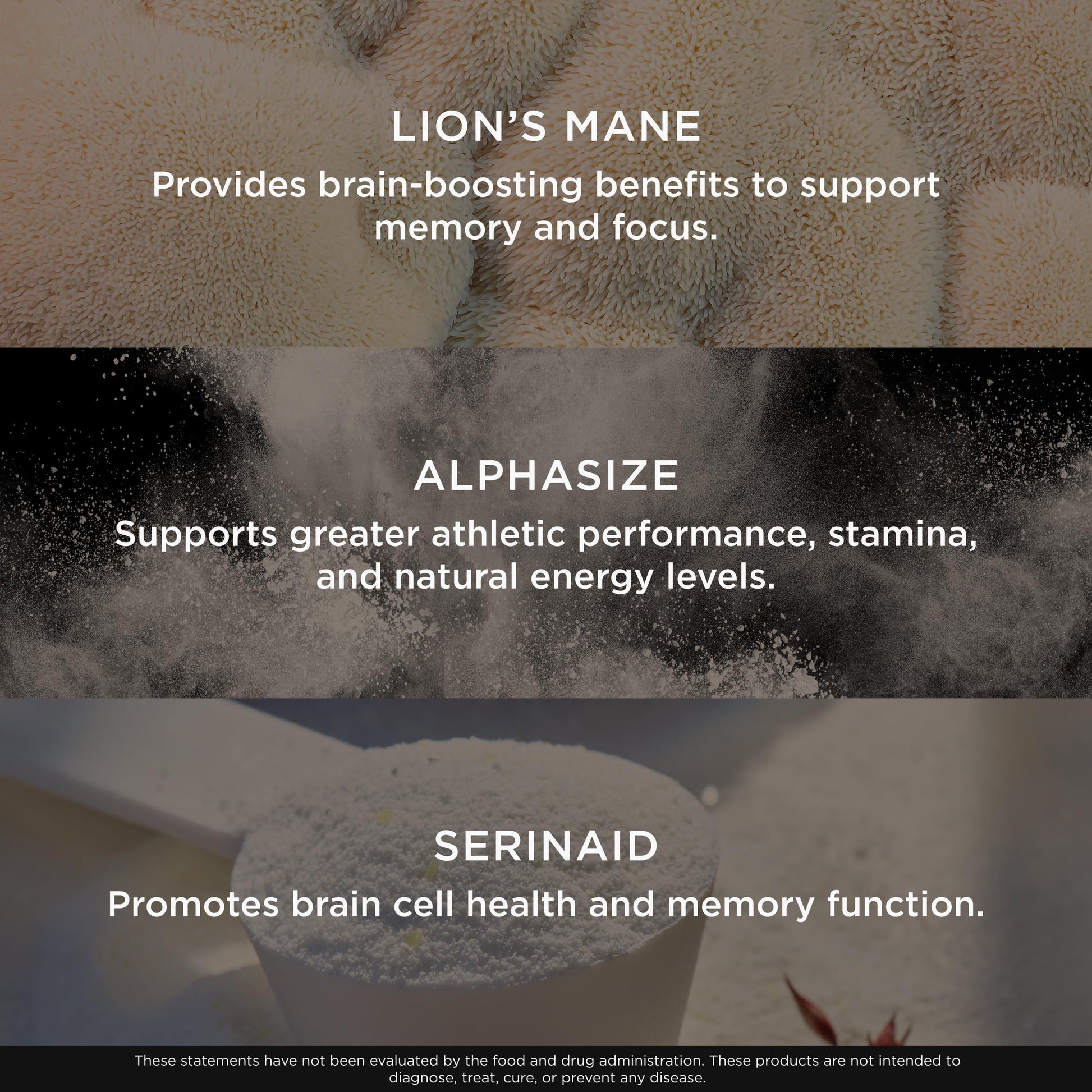 Genius Consciousness, Super Nootropic Brain Supplement Powder, Mango - Boost Focus, Cognitive Function, Concentration & Memory Booster - Alpha GPC & Lions Mane Mushroom for Neuro Energy & IQ The Genius Brand buy australia supplements