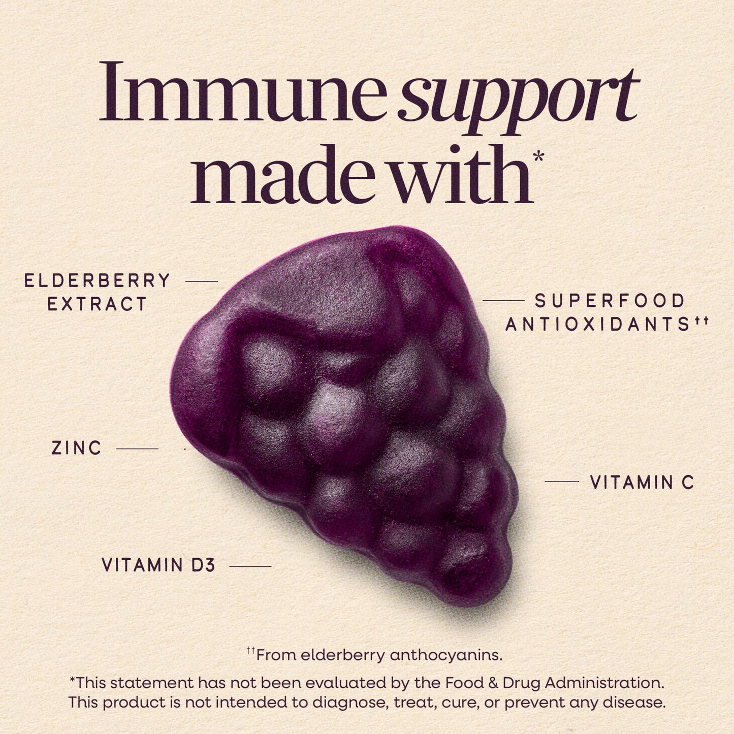 Nature’s Way Sambucus Elderberry Gummies, Immune Support Gummy for Adults & Kids Ages 4+ with Black Elderberry Extract, Vitamin C Nature's Way