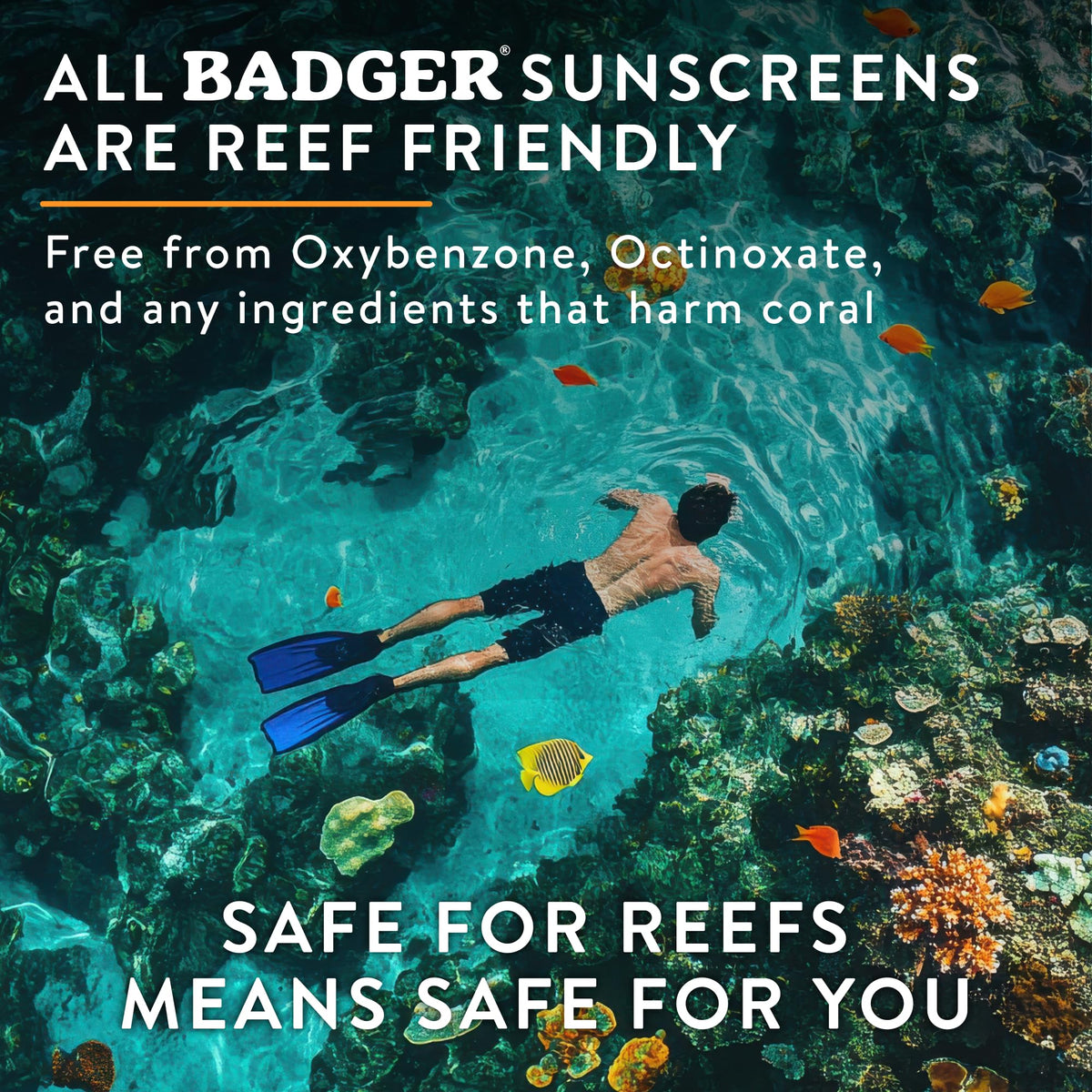 Badger Reef Safe Mineral Sunscreen SPF 50, Zinc Oxide, 2.9 fl oz Badger