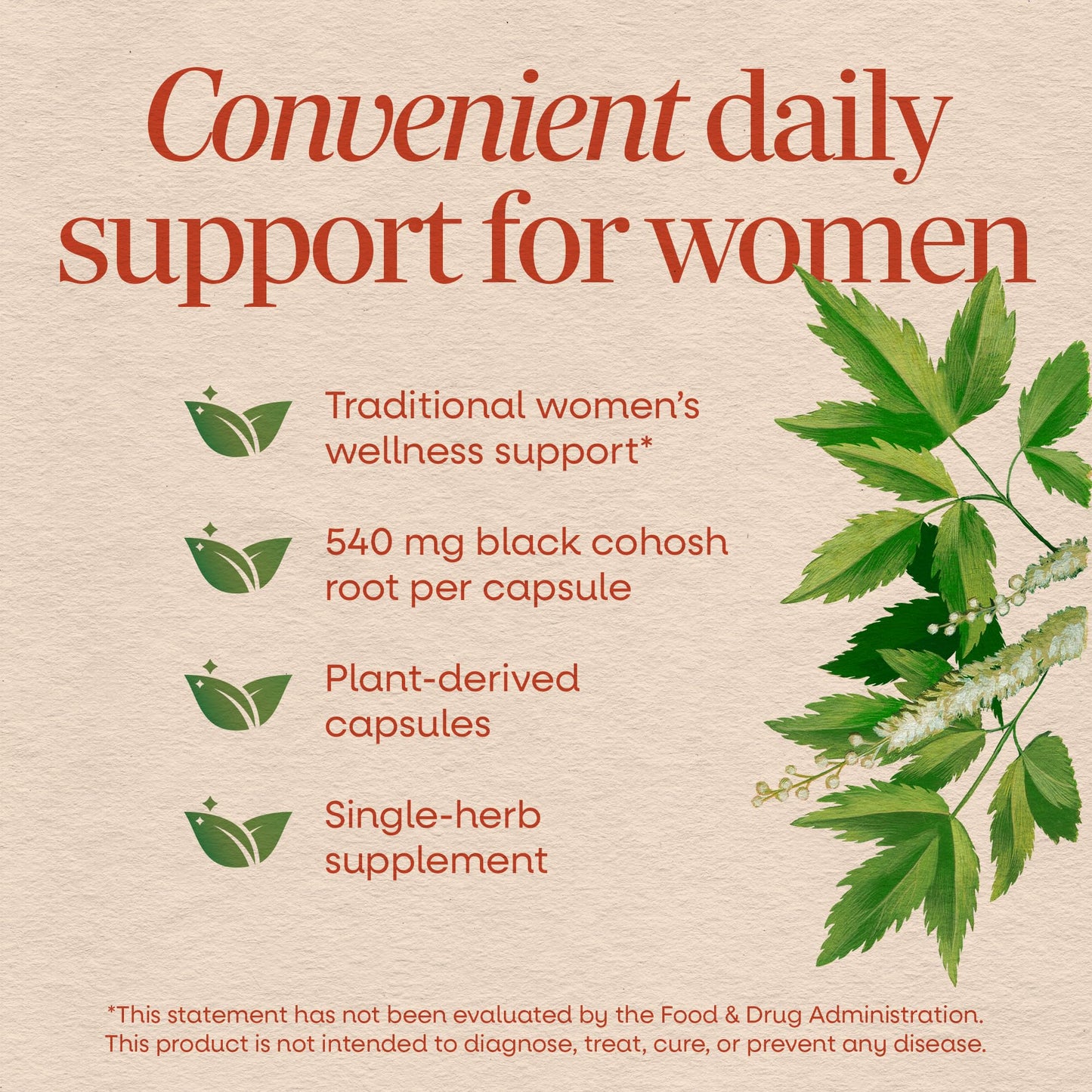 Nature’s Way Herbs Black Cohosh Root Capsules, Traditional Women’s Herbal Supplement*, Cimicifuga Racemosa Root, Nature's Way