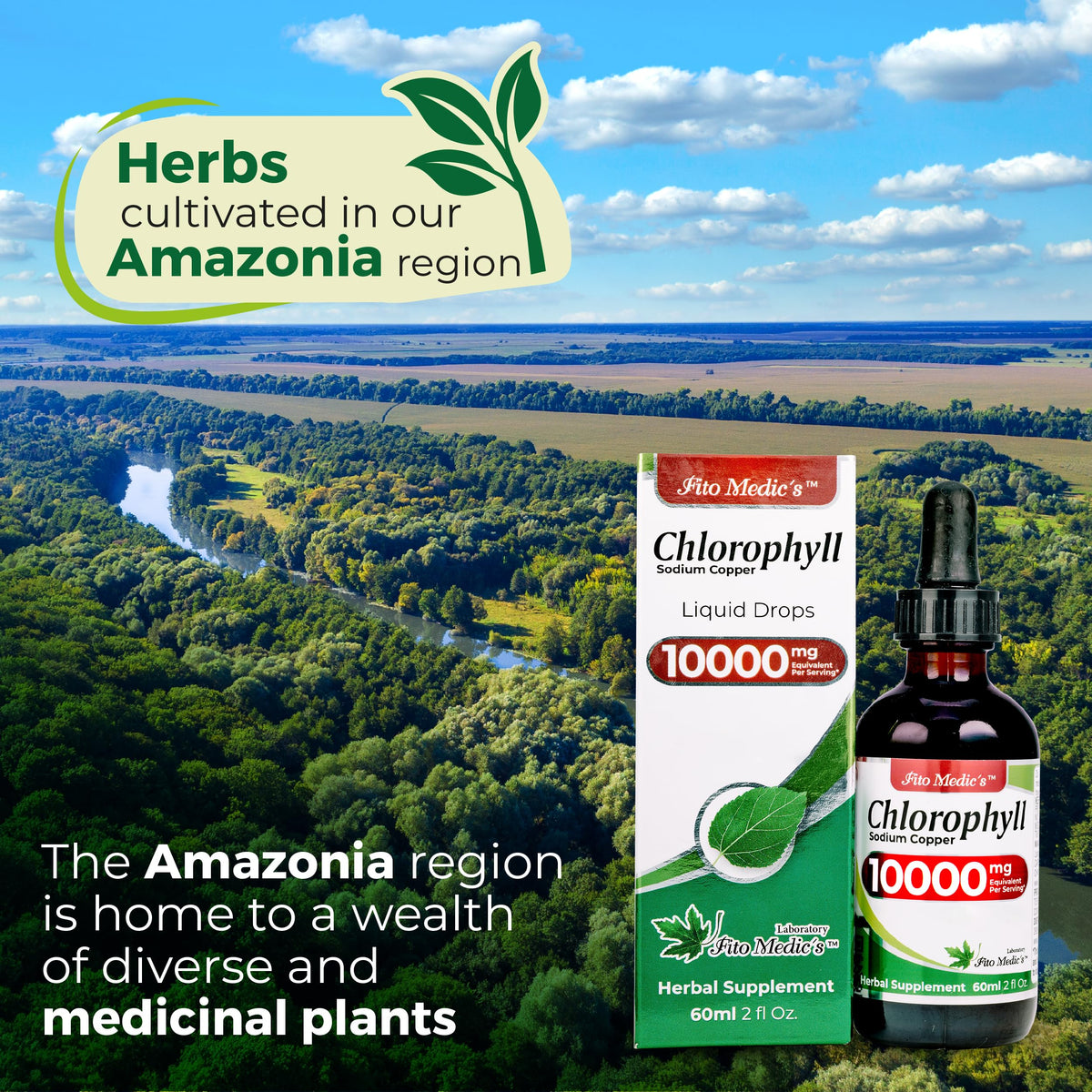 FITO MEDIC'S Lab | Liquid Chlorophyll | Chlorophyll Liquid Drops | 50 mg 200:1 Ratio Extract per Serving. FITO MEDIC'S