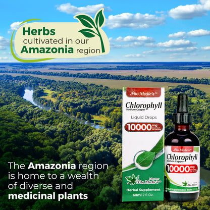 FITO MEDIC'S Lab | Liquid Chlorophyll | Chlorophyll Liquid Drops | 50 mg 200:1 Ratio Extract per Serving. FITO MEDIC'S