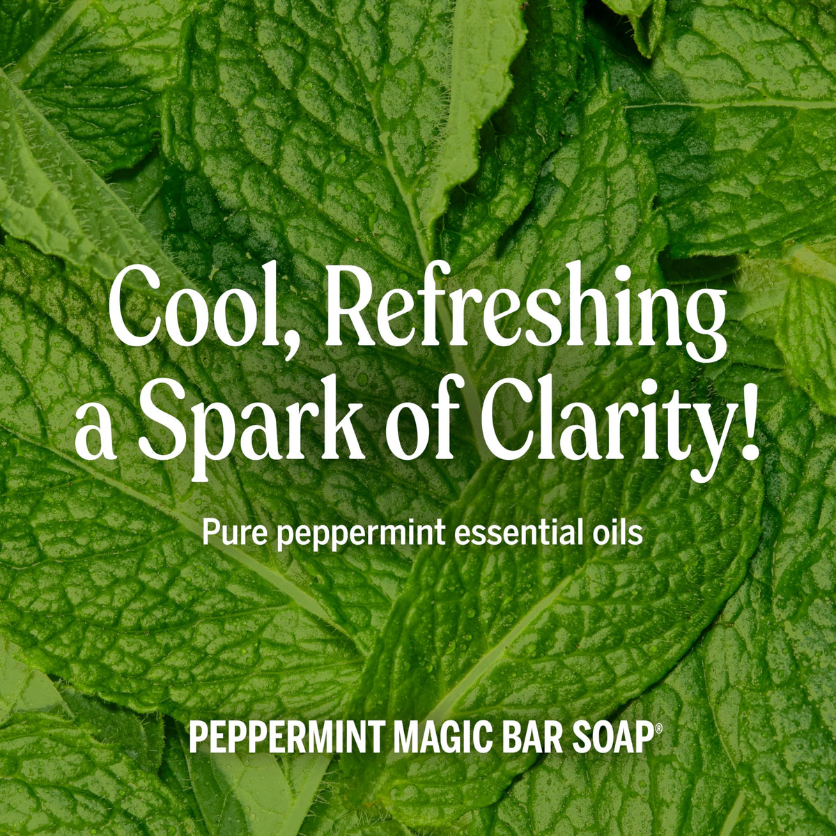 Dr. Bronner's Pure-Castile Magic Bar Soaps (Peppermint, 5oz, 2-Pack) – Made with Regenerative Organic Certified Oils, Soap Bars for Men & Women, Gentle for Face & Body, Vegan, Non-GMO Dr. Bronner's
