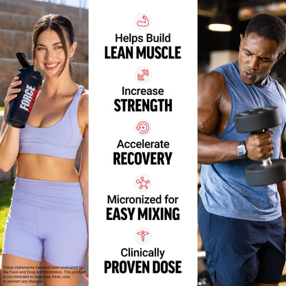 Force Factor Creatine Monohydrate Powder, 5g Micronized Dose to Support Muscle Growth, Strength, Recovery, Cognitive Health & Memory Force Factor