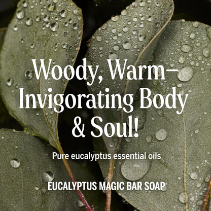Dr. Bronner's Castile Bar Soap for Men & Women, Eucalyptus, 5 oz, 2-Pack Dr. Bronner's