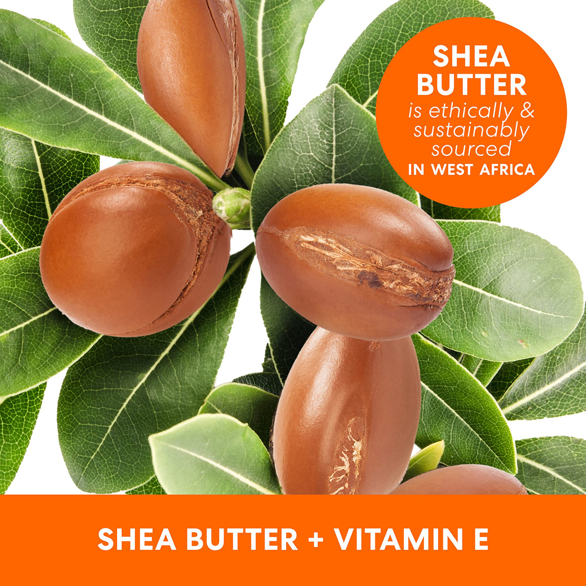 Palmer's Shea Formula Raw Shea Body Oil with Vitamin E, Deep Body Moisturizer to Soothe & Nourish Dry, Sensitive & Eczema-Prone Skin, 8.5 oz Palmer's