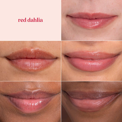 Burt's Bees Lip Tint Balm, Fiery Red Dahlia, 0.15 oz., 2 Tubes Burt's Bees