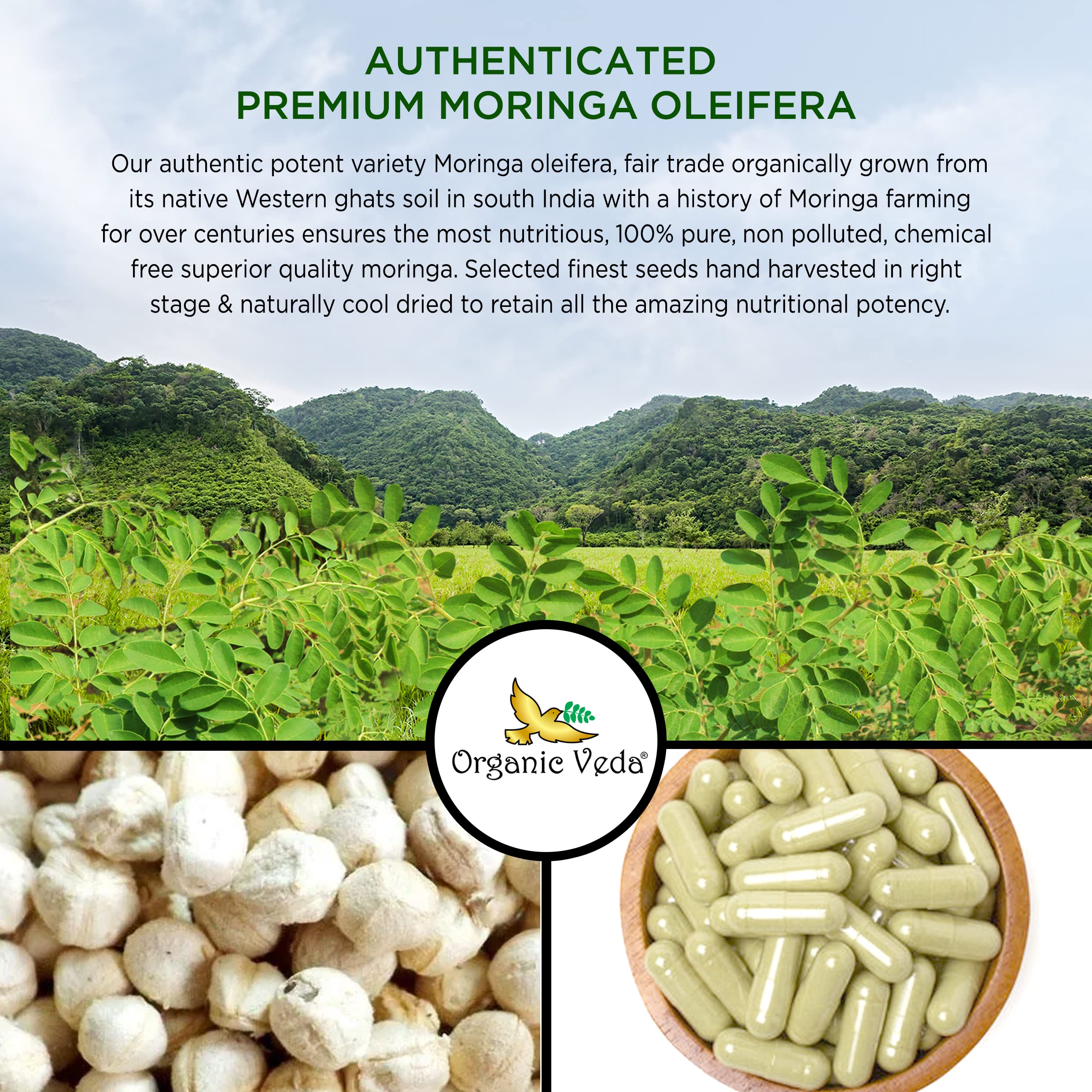 Organic Veda Moringa Seed Capsules - Pure Organic Moringa Capsules Seed Powder Organic Veda buy australia supplements