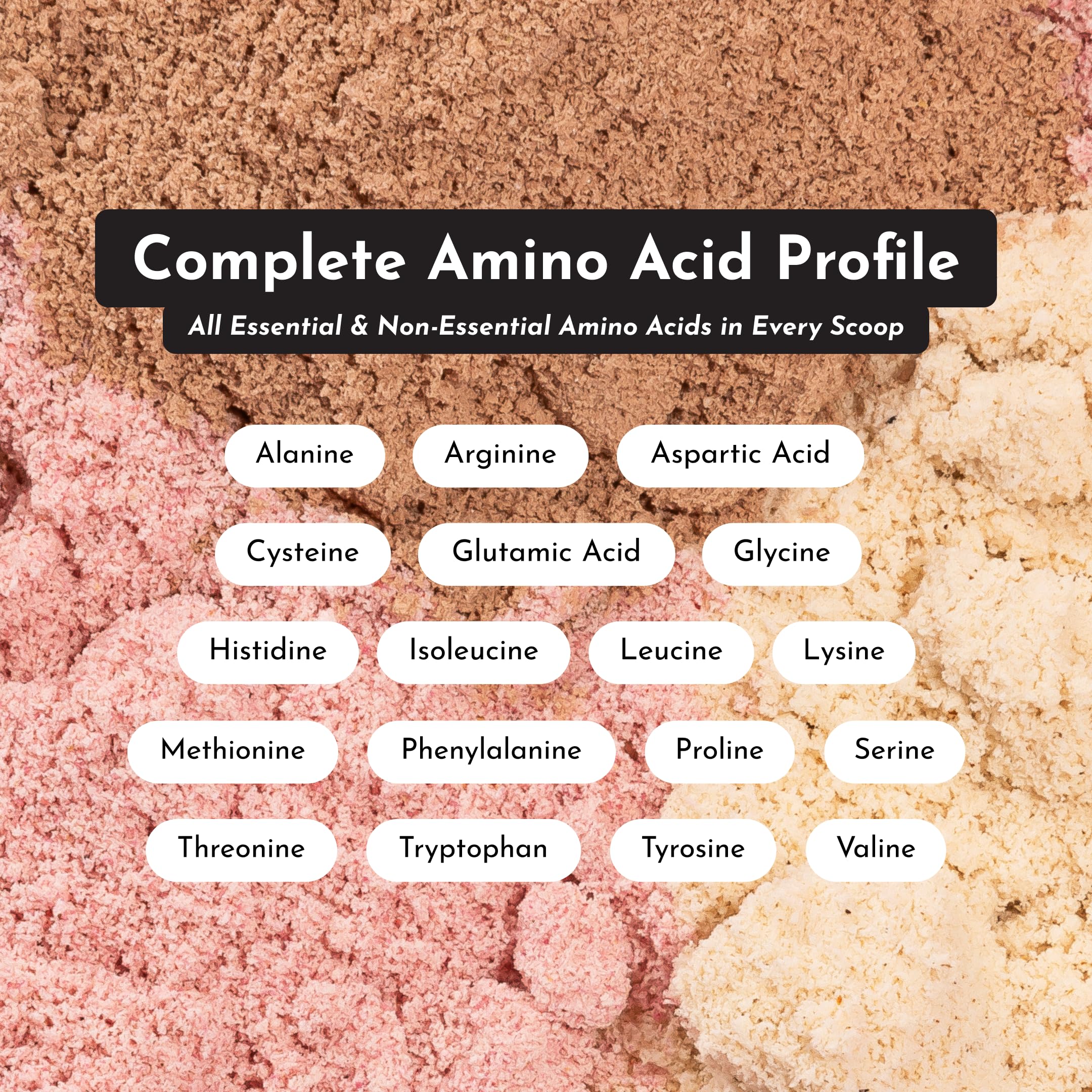 JUST INGREDIENTS Vanilla Protein Powder - Grass-Fed Whey Blend, Organic, Gluten Free, Dairy Free, Soy Free - 15 Servings, 22g Protein JUST INGREDIENTS buy australia supplements
