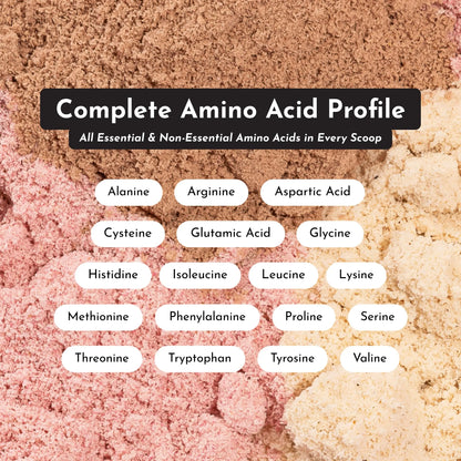 JUST INGREDIENTS Vanilla Protein Powder - Grass-Fed Whey Blend, Organic, Gluten Free, Dairy Free, Soy Free - 15 Servings, 22g Protein JUST INGREDIENTS