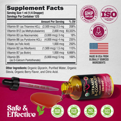 USDA Organic Vitamin B-Complex B5 Pantothenic Acid | B12 Methylcobalamin | B1 Thiamine | B6 Pyridoxine | B7 Biotin | B9 Folic | B3 Niacinamide NUTRAHARMONY
