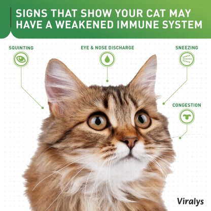 Vetoquinol Viralys Daily L-Lysine Powder for Cats and Kittens, Fish Flavored Lysine Supplement for Cats and Kittens to Support Immune Health Vetoquinol