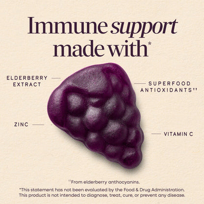 Nature’s Way Sambucus Kids Elderberry Immune Gummies with Black Elderberry Extract, Daily Immune Support Gummy with Vitamin C and Zinc Nature's Way