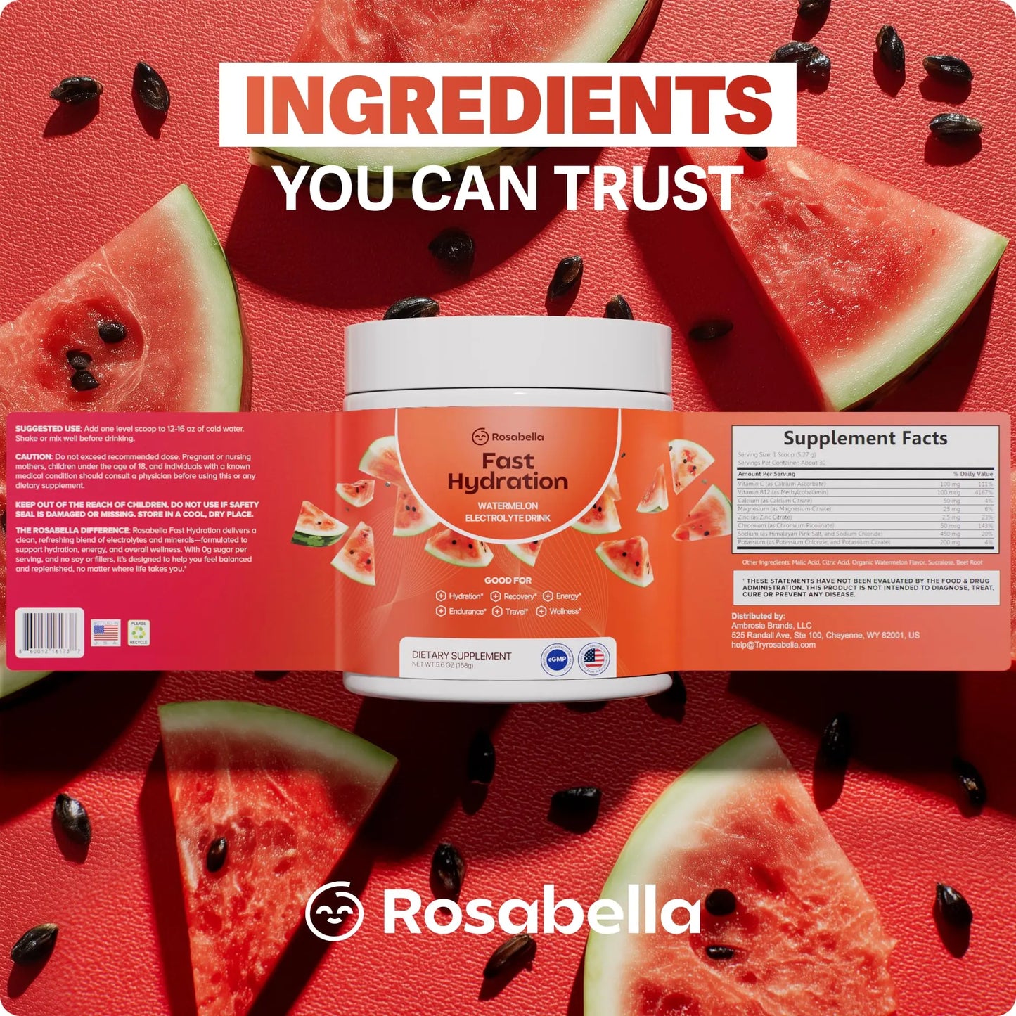 Rosabella Electrolyte Drink Powder – Watermelon – Sugar-Free Hydration Drink Mix – Electrolytes Powder with Sodium, Potassium, Magnesium, Calcium Rosabella