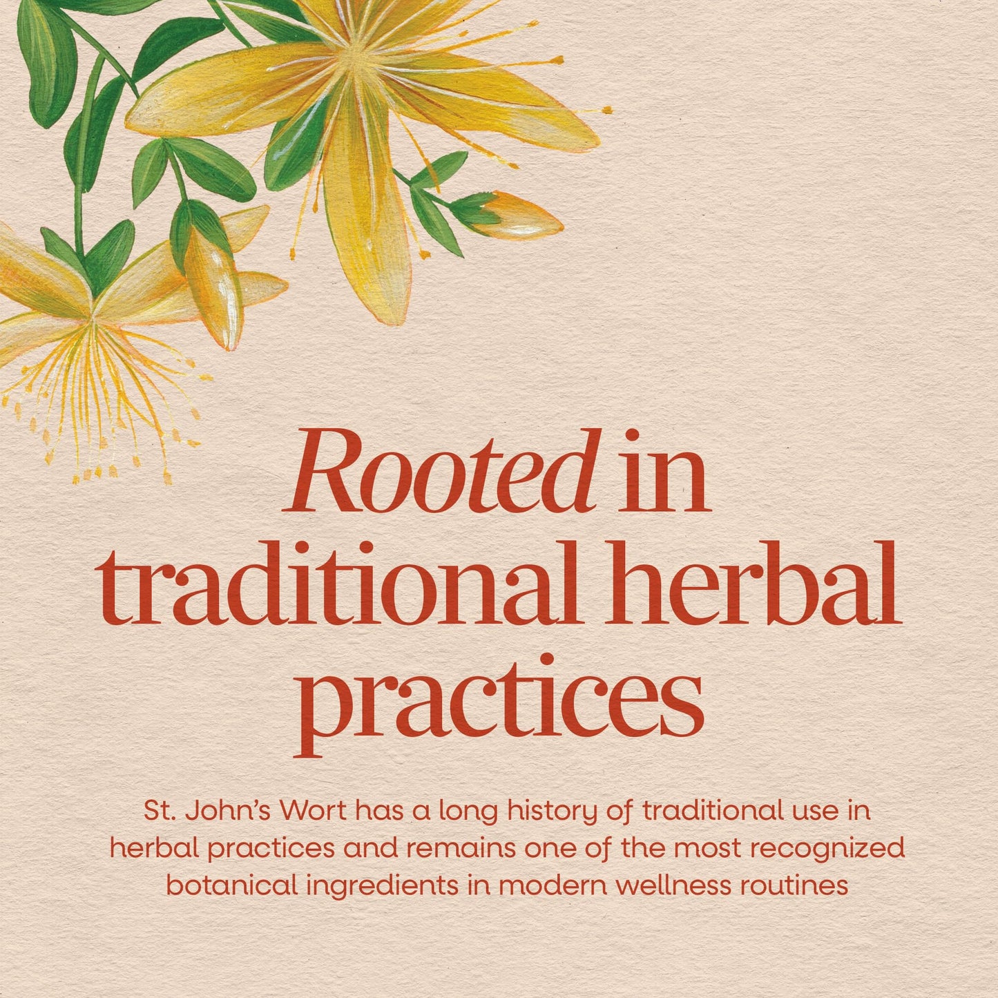 Nature’s Way St. John’s Wort Capsules, Herbal Supplement Promotes a Positive Outlook*, 700 mg per 2-capsule serving Nature's Way