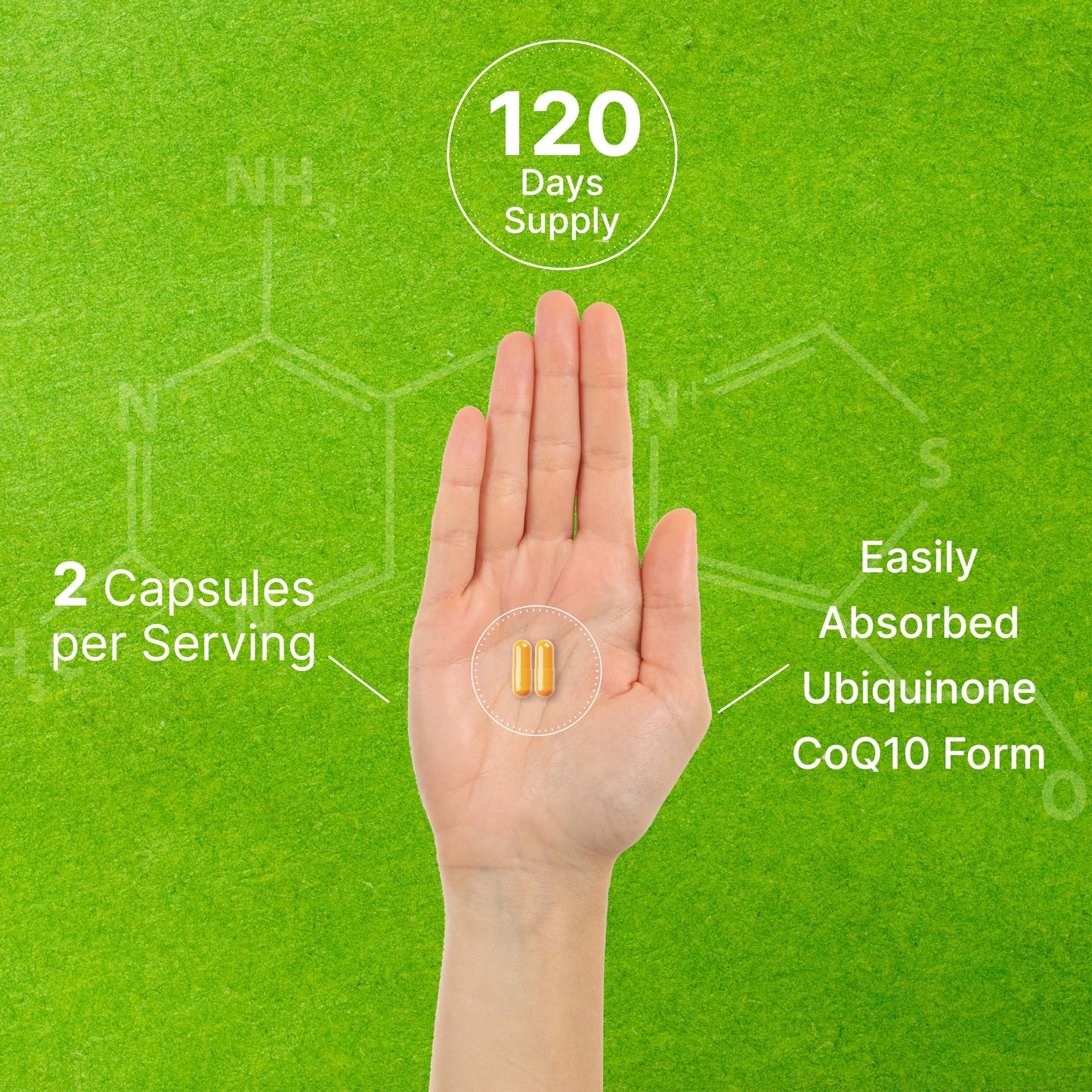 DEAL SUPPLEMENT CoQ10 100mg with Omega 3 100mg, 240 Capsules | Bioavailable Coenzyme Q10 Formula | Non-GMO DEAL SUPPLEMENT