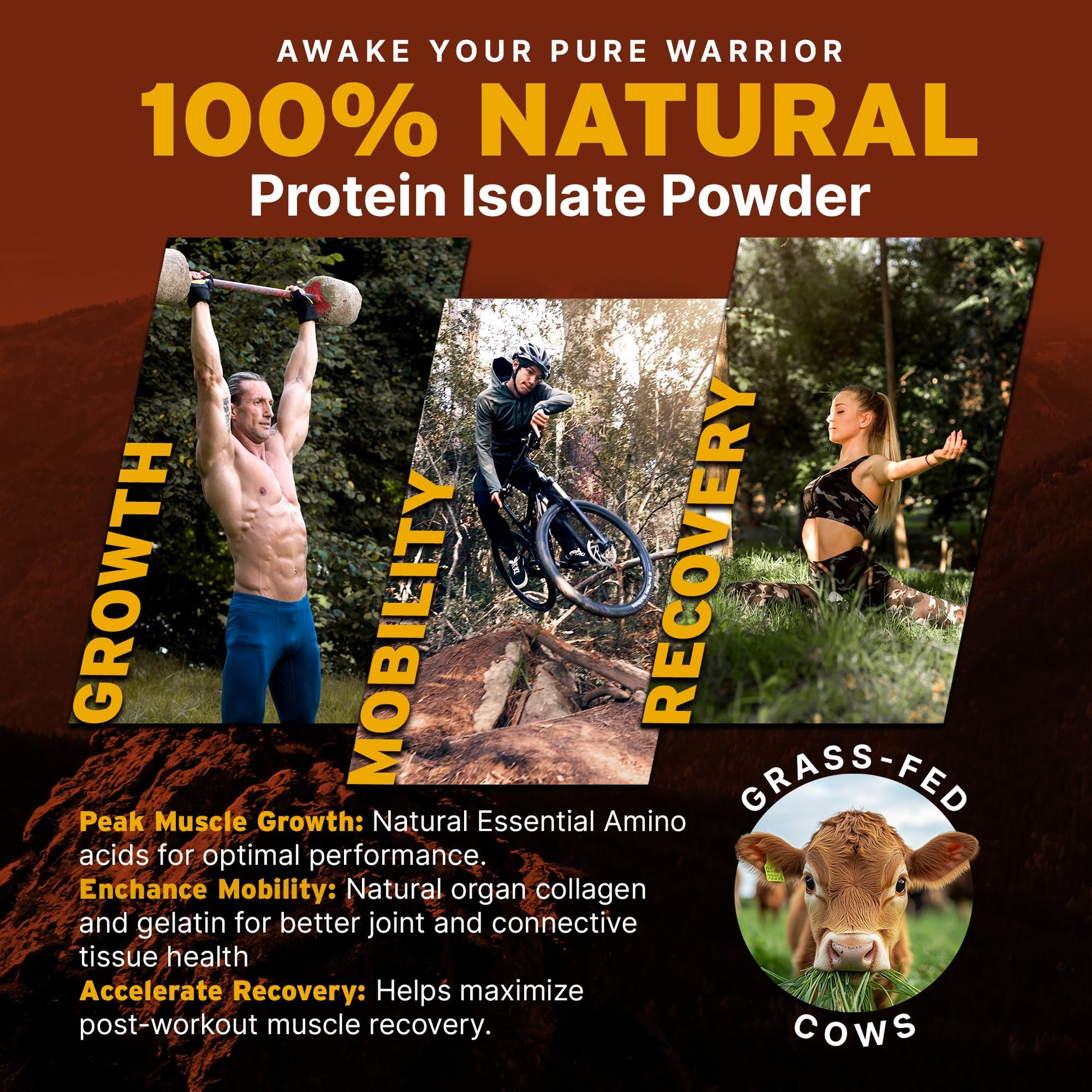 Paleo Pro 26G Beef Protein Powder - Grass Fed Protein Powder Isolate - Pure Animal Based Pastured & Cage-Free | Dairy & Gluten Free, Natural & Clean Proteins for Paleo & Keto - 15 Days Supply Vanilla Paleo Pro buy australia supplements