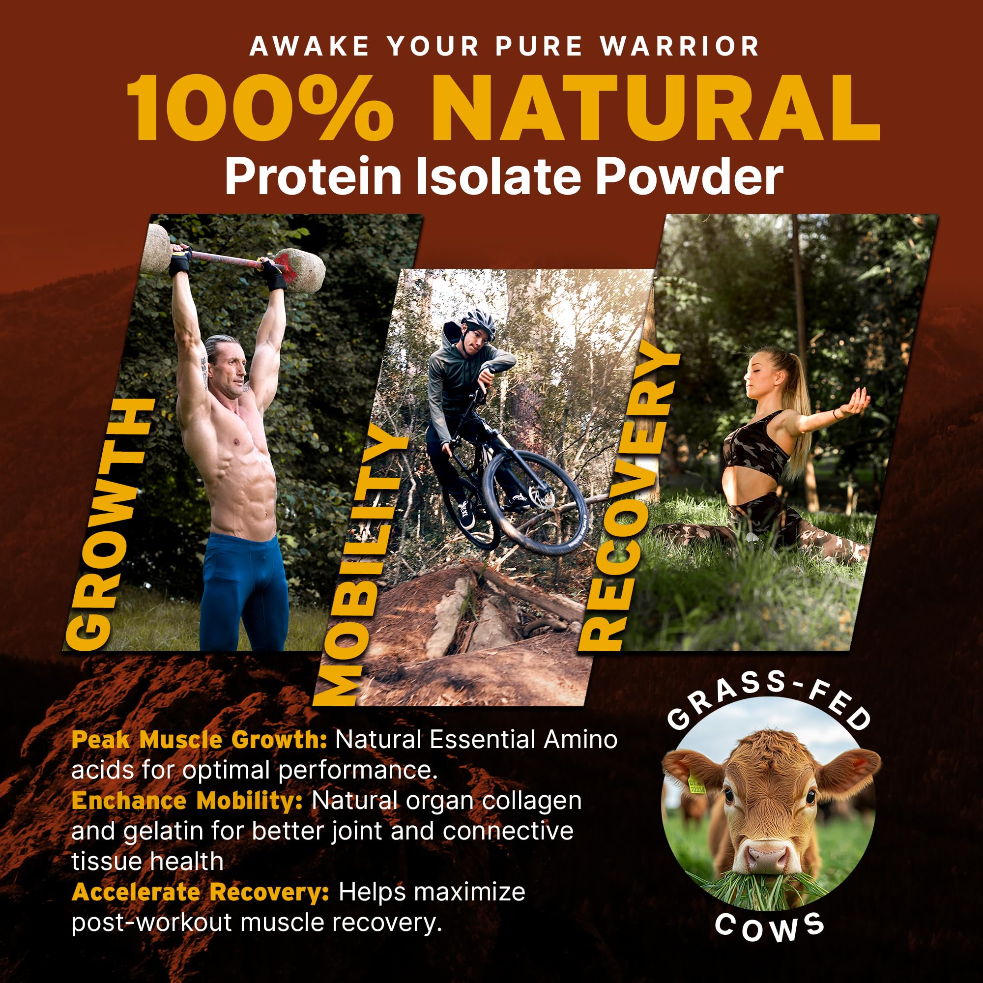 Paleo Pro 26G Beef Protein Powder - Grass Fed Protein Powder Isolate - Pure Animal Based Pastured & Cage-Free | Dairy & Gluten Free, Natural & Clean Proteins for Paleo & Keto - 15 Days Supply Vanilla Paleo Pro buy australia supplements