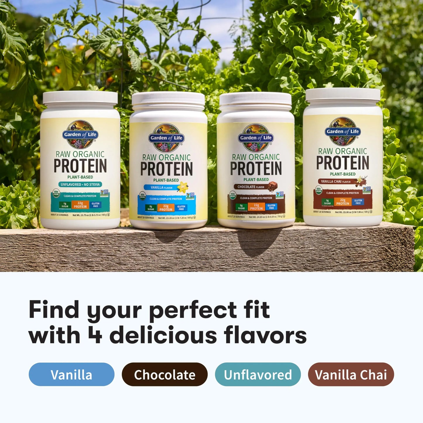 Garden Of Life Protein Powder, Vegan Protein Powder, Bcaa, Probiotics & Digestive Enzymes, Gluten & Lactose Free, Vanilla, 23.28 Ounce Garden of Life