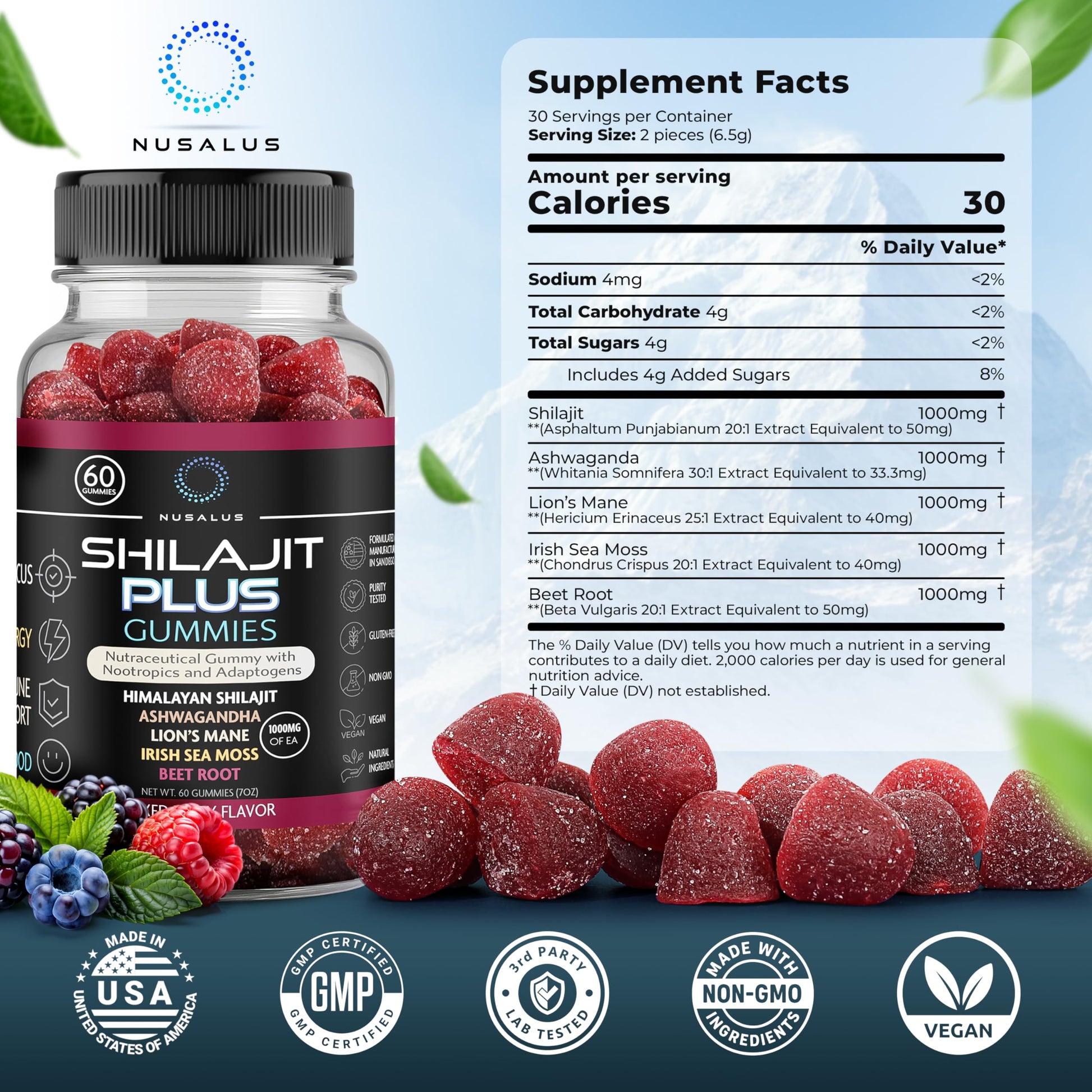 Nusalus Shilajit Plus Gummies – 5-in-1 Adaptogen Energy & Focus Supplement | Shilajit, Ashwagandha, Lion’s Mane, Sea Moss & Beet Root | Natural Energy & Stress Support | Made in USA, Vegan, 60ct Nusalus buy australia supplements