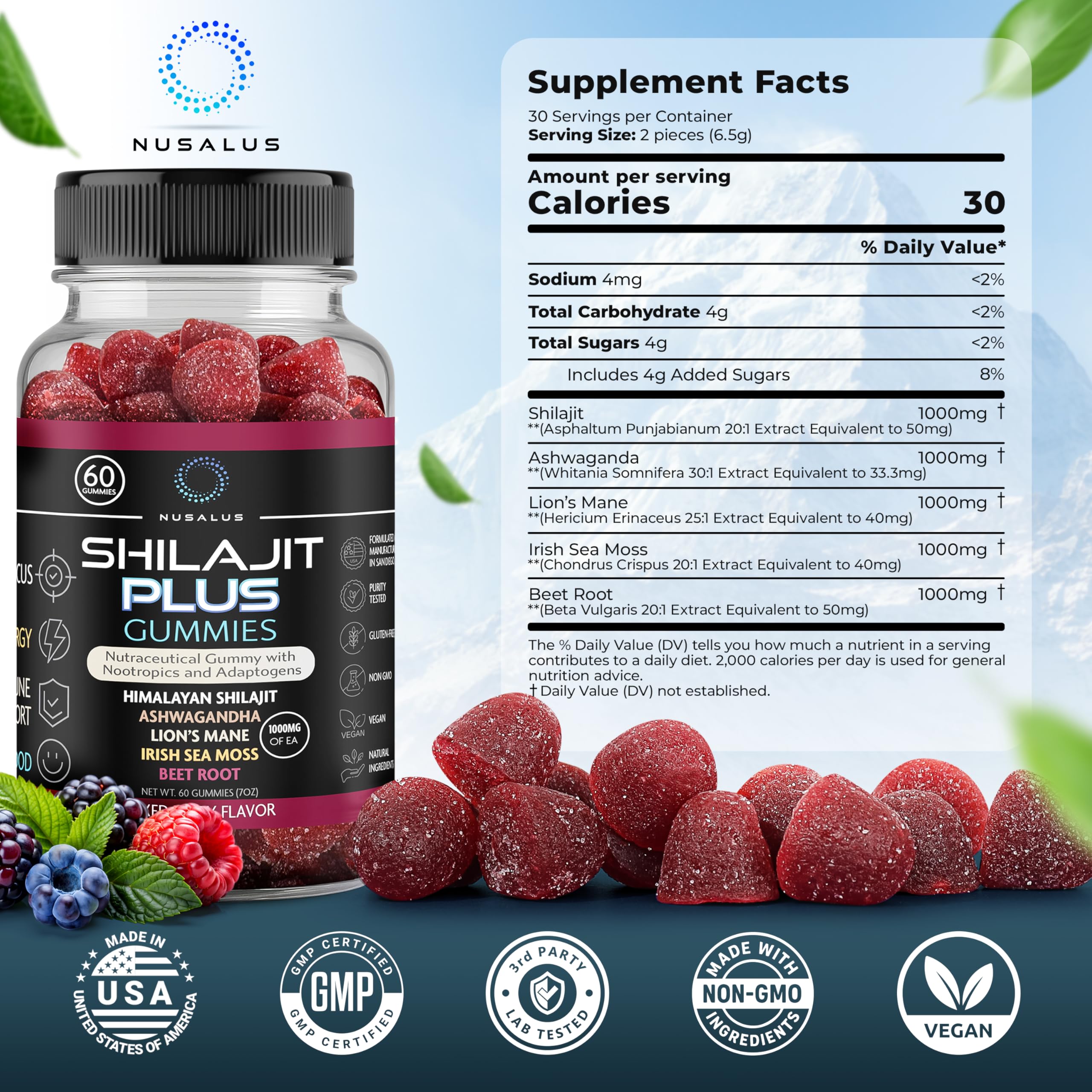 Nusalus Shilajit Plus Gummies – 5-in-1 Adaptogen Energy & Focus Supplement | Shilajit, Ashwagandha, Lion’s Mane, Sea Moss & Beet Root | Natural Energy & Stress Support | Made in USA, Vegan, 60ct Nusalus buy australia supplements