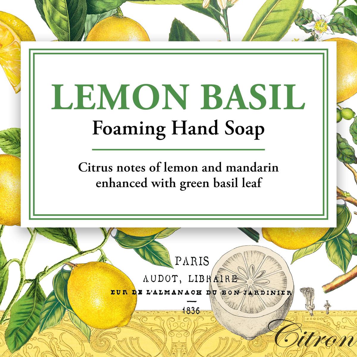 Michel Design Works Foaming Hand Soap, Lemon Basil, 1-Pack, 17.8 Fl oz Each Michel Design Works