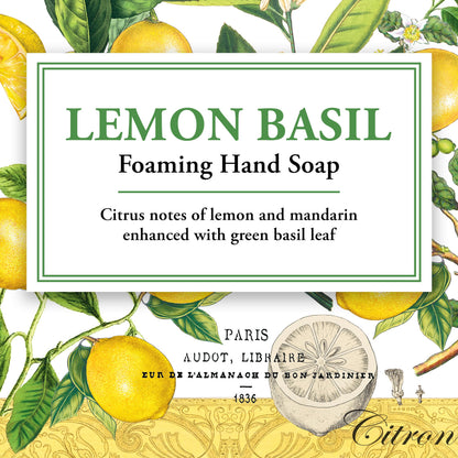 Michel Design Works Foaming Hand Soap, Lemon Basil, 1-Pack, 17.8 Fl oz Each Michel Design Works