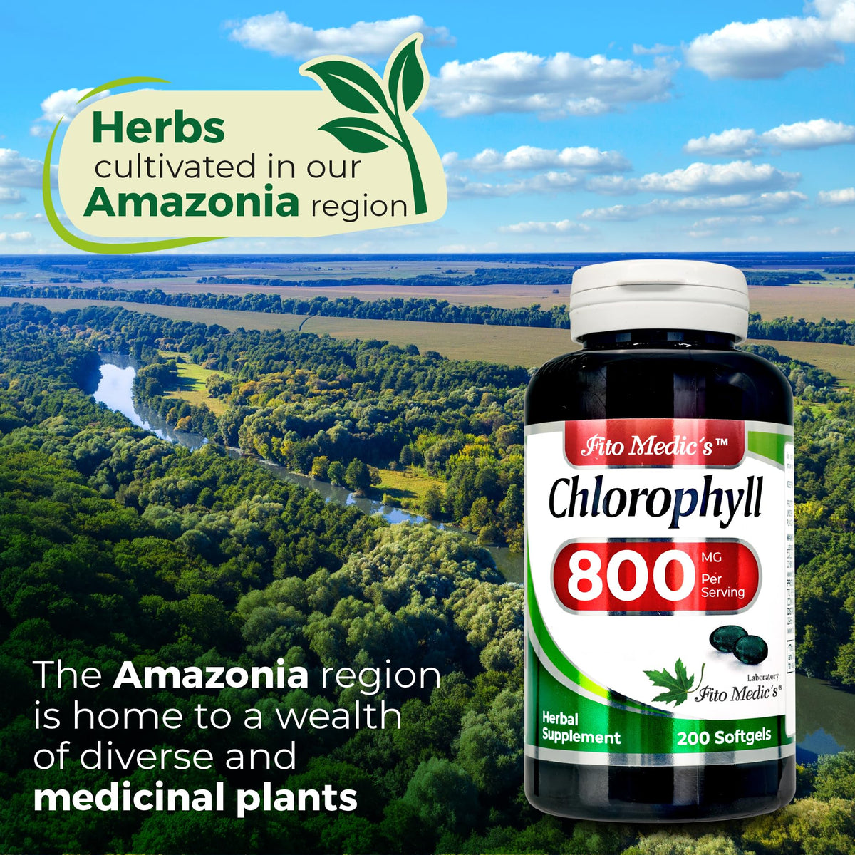 FITO MEDIC'S Lab Chlorophyll Supplement, 200 Softgels, Chlorophyll Capsules FITO MEDIC'S