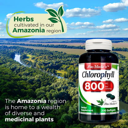 FITO MEDIC'S Lab Chlorophyll Supplement, 200 Softgels, Chlorophyll Capsules FITO MEDIC'S