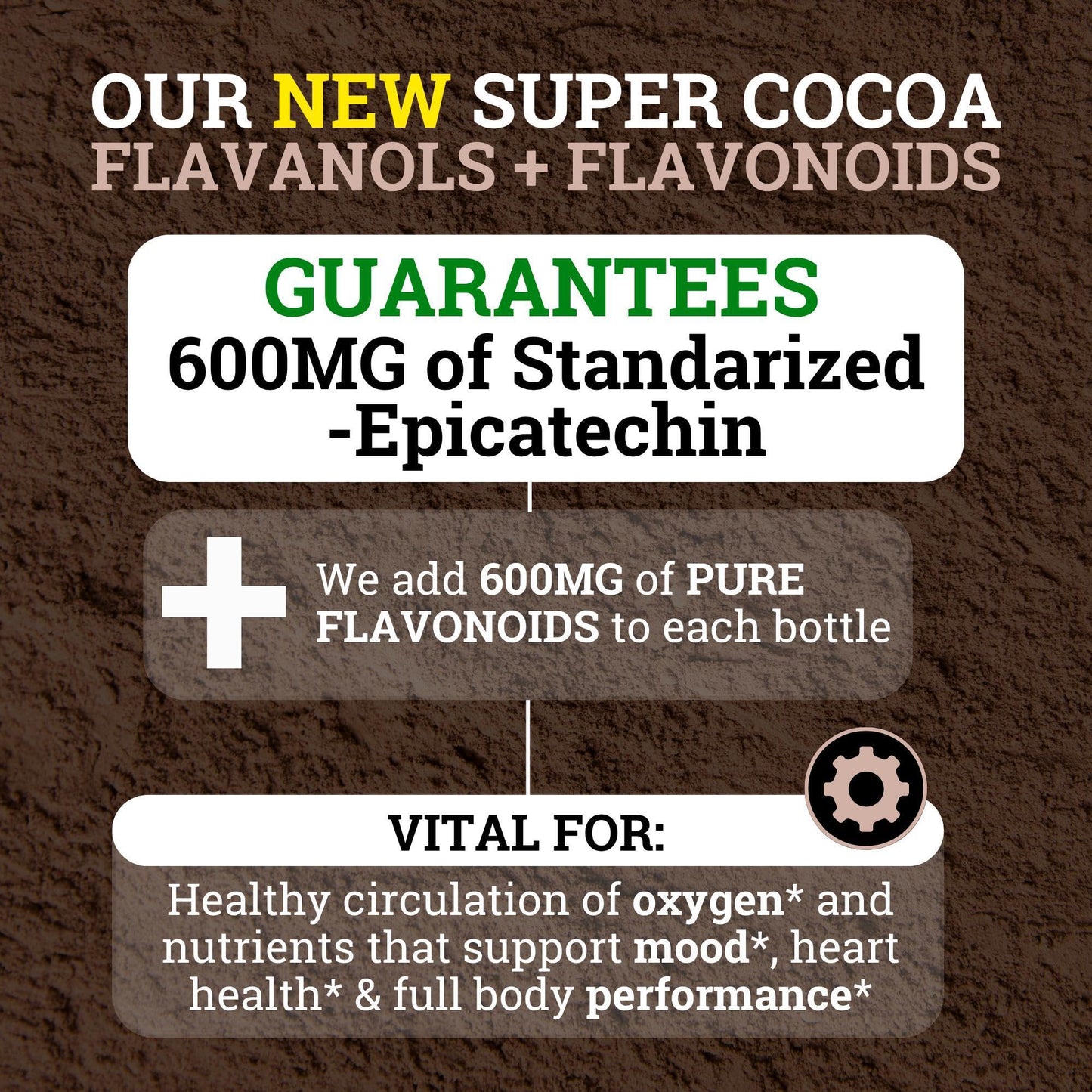 Black Forest High Flavanol Cocoa Powder (1200mg Flavanols & Flavonoids Supplements)10X More Flavanols (Epicatechin) Than Cocoa & 600mg of Epicatechin Supplement Black Forest
