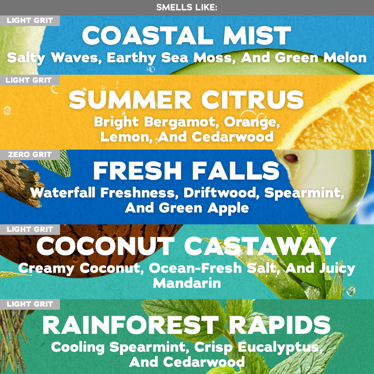 Dr. Squatch Natural Men’s Bar Soap - Cold Process Body Soap Bar with Natural Oils - Gifts for Men - Summer Citrus, Coconut Castaway, Fresh Falls, Coastal Mist & More (5 oz, 5-Pack, Scents May Vary) Dr. Squatch