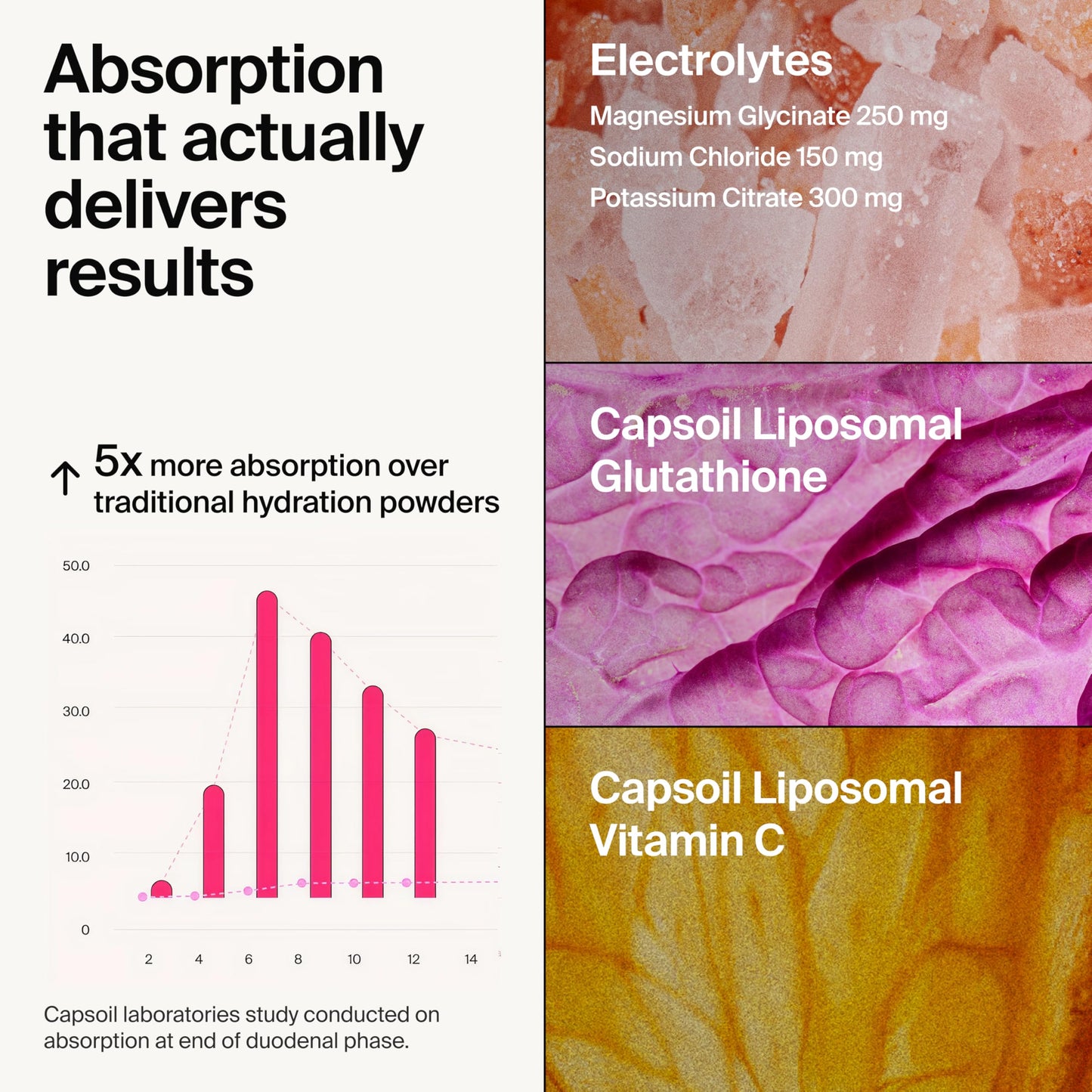 The Absorption Company Electrolyte Powder Packets - Workout Recovery & Hydration Drink Mix with Liposomal Glutathione, Vitamin C & Methylated B Vitamins The Absorption Company