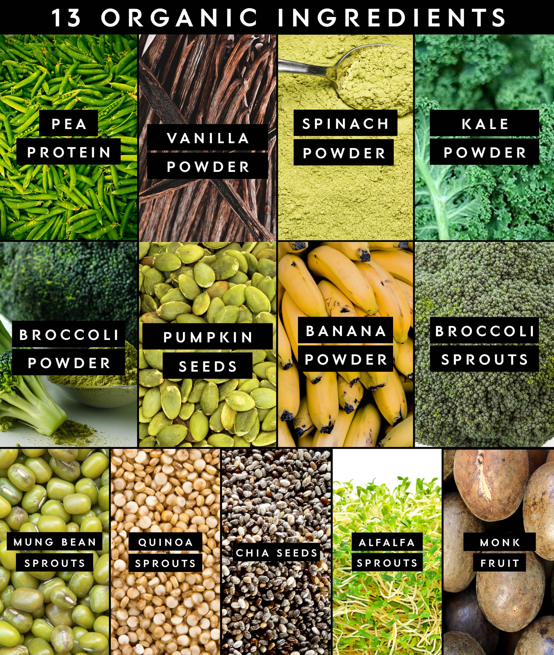 Truvani Protein + Greens Supplement | Spinach, Kale & Broccoli | 10g Organic Plant Based Protein | 20 Servings | USDA Organic | Gluten & Dairy Free Truvani buy australia supplements