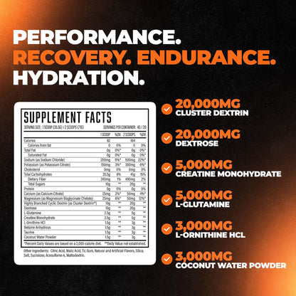 Formula XII Intra Workout Carbs & Post Workout Recovery Powder, Rapidly Absorbed, Boost Exercise Performance, Strength, Endurance & Hydration, 12 Science-Backed Ingredients (Strawberry Watermelon)