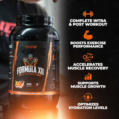 Formula XII Intra Workout Carbs & Post Workout Recovery Powder, Rapidly Absorbed, Boost Exercise Performance, Strength, Endurance & Hydration, 12 Science-Backed Ingredients (Strawberry Watermelon)