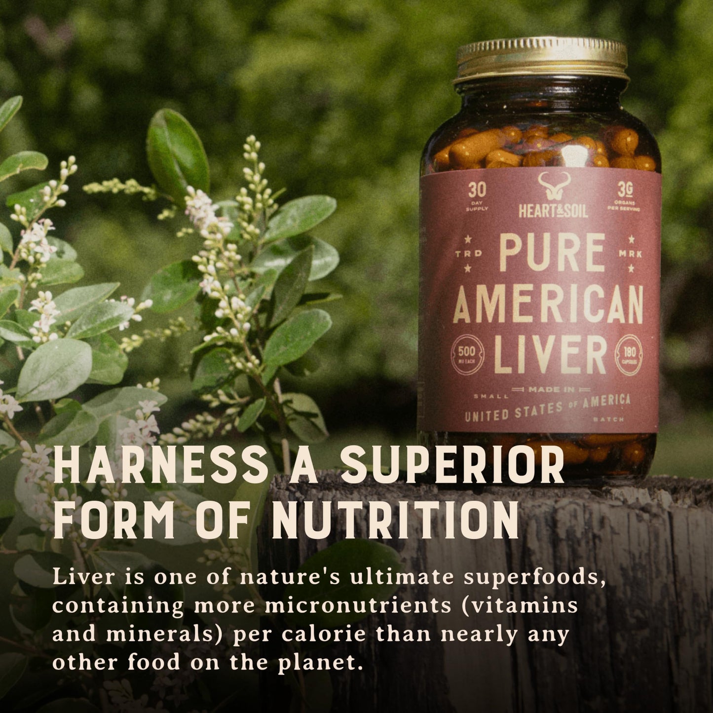 HEART & SOIL – 100% Grass Fed & Finished Beef Organs from Regenerative Cattle with Liver, Heart, Kidney, Pancreas & Spleen – 3000mg Beef Organ Supplement for Women & Men – Glass Bottle – 180 Capsules