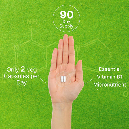 Benfotiamine 600mg Per Serving, 180 Veggie Capsules (300mg Per Cap) – Fat Soluble Vitamin B1 Thiamine Supplement DEAL SUPPLEMENT